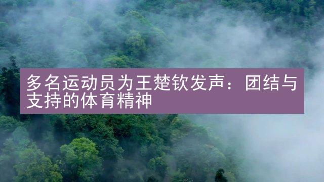 多名运动员为王楚钦发声：团结与支持的体育精神